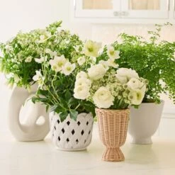 Aria Small Cachepot -Home Products Shop 21222071 2 2