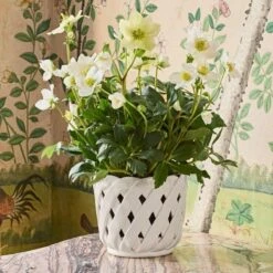 Aria Small Cachepot -Home Products Shop 25120368 4