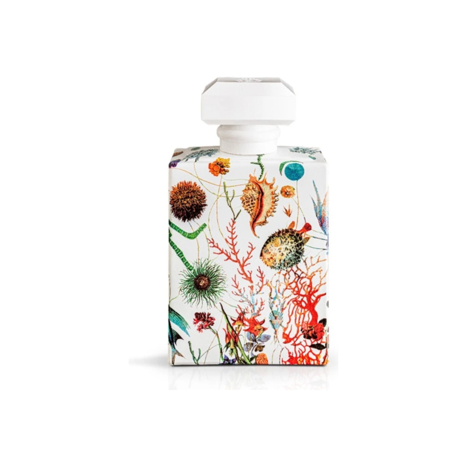 Ammare 4 Ammare - Image 2