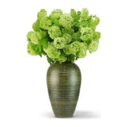Calinda Tapered Vase -Home Products Shop Calinda Tapered Vase 5 af4abf05 6738 4c99 8b3b a45424604b8a