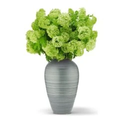 Calinda Tapered Vase -Home Products Shop Calinda Tapered Vase 6