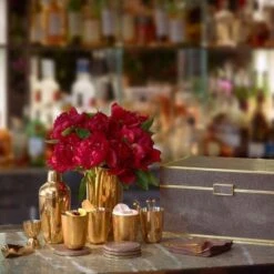 Classic Shagreen Bar Set -Home Products Shop Classic Shagreen Bar Set 17