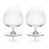 Degustation Cognac Glass Set Of 2