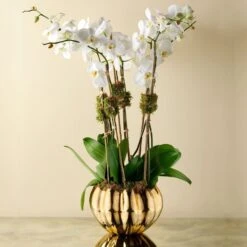 Mirabelle Cachepot 14 Mirabelle Cachepot -Home Products Shop Mirabelle Cachepot 5