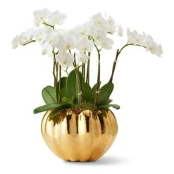 Mirabelle Cachepot 15 Mirabelle Cachepot -Home Products Shop Mirabelle Cachepot 6