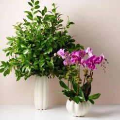 Mirabelle Cachepot 16 Mirabelle Cachepot -Home Products Shop Mirabelle Cachepot 7