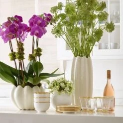 Mirabelle Tall Vase -Home Products Shop Mirabelle Tall Vase 4