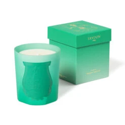 Under The Trees Candle 8 Under The Trees Candle -Home Products Shop UNDER THE TREE BOUGIE PACK 270G 640x640 blanc