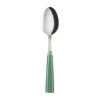 Icone Garden Green Soup Spoon -Home Products Shop ggsoup0238 001 0245 1 3000x e1fa74f5 3fb9 4a0e a79b 2d53d3b96863 Edited